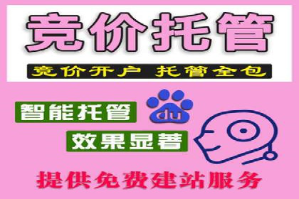 百度竞价公司案例分析：如何利用百度大数据
